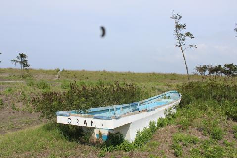 草地に残された船