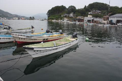 静かな港の漁船