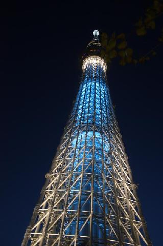 夜のスカイツリーを見上げる構図