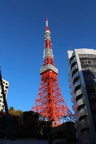 ビルのあいだから見上げる東京タワー
