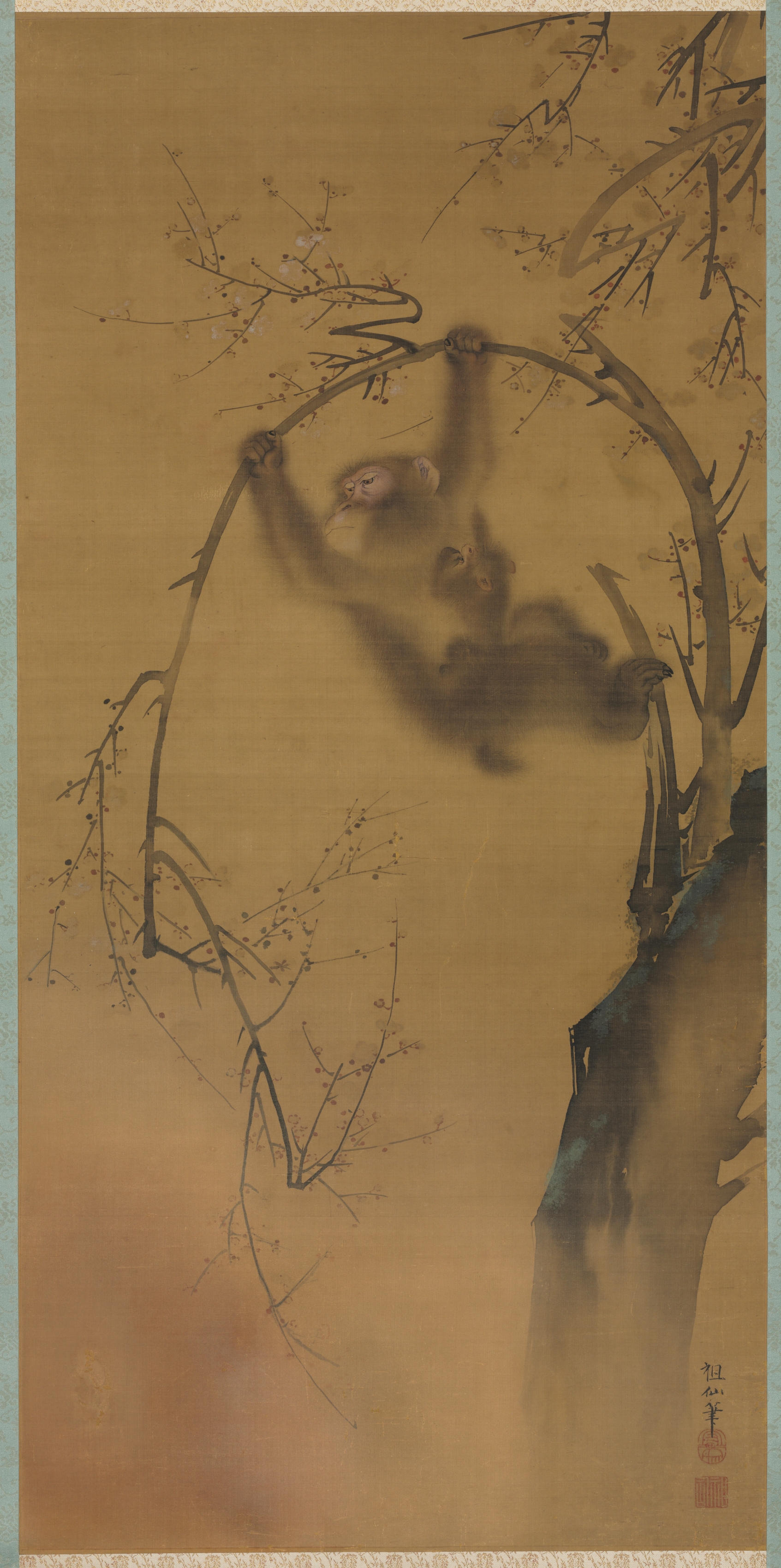 Mori Sosen, Monkeys in a Cherry Tree, historic hanging scroll (portrait artwork)
