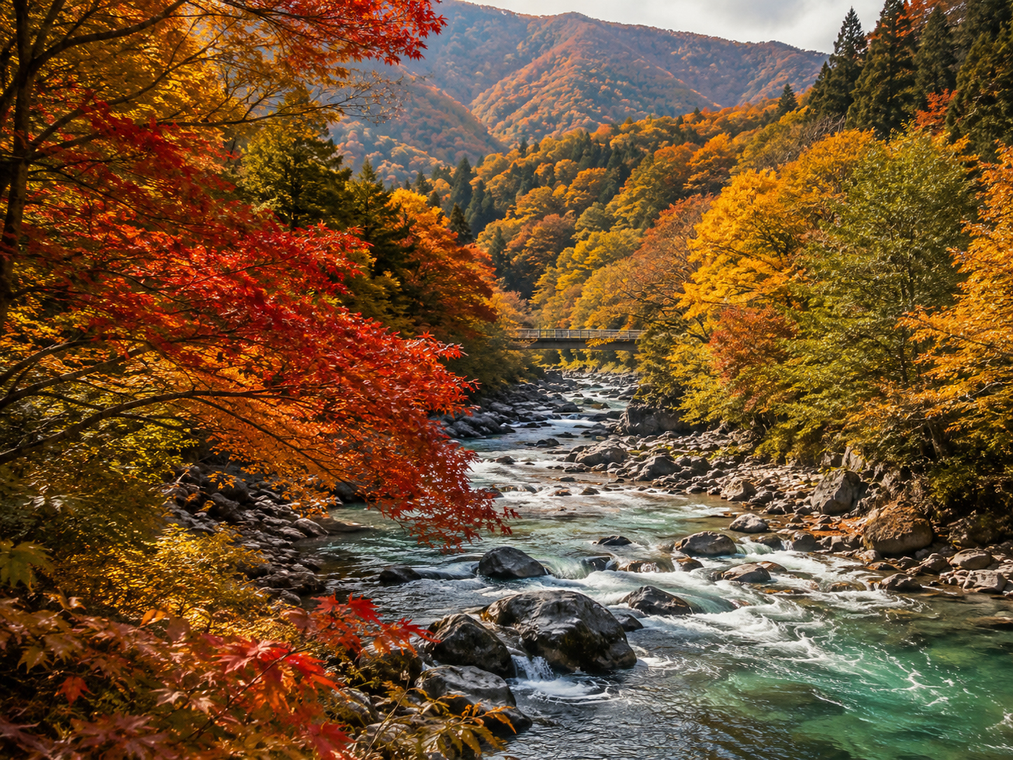 秋の富山の森